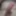 Some dick pics