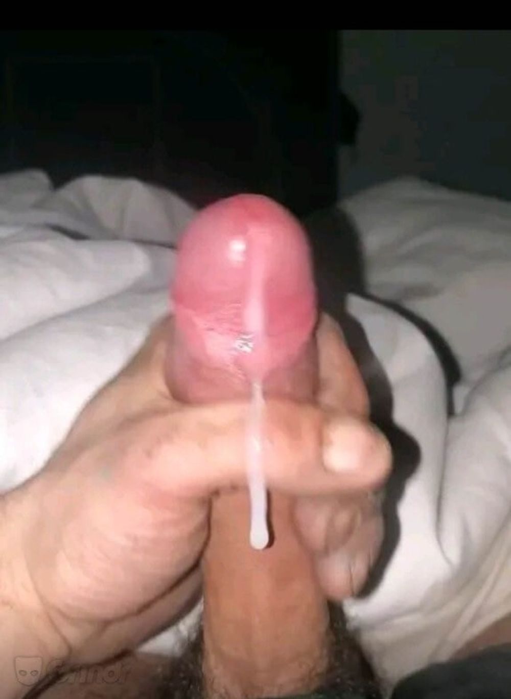 my cock