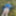 Cover up, reveal #46