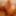 Dick pics from my fans