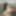 Lascivious Sex Crazed Sissy Femboy Teases and Shows off