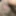 Video pics micro cock