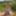 Gray-haired beauty posing naked outdoors on a blanket #11
