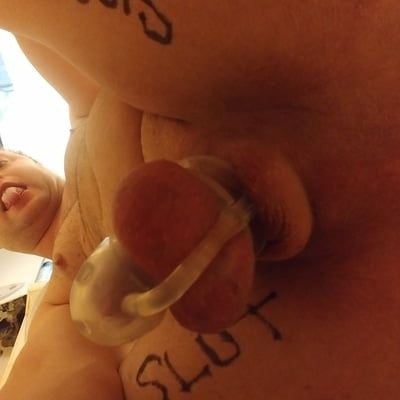My little cock in chastity