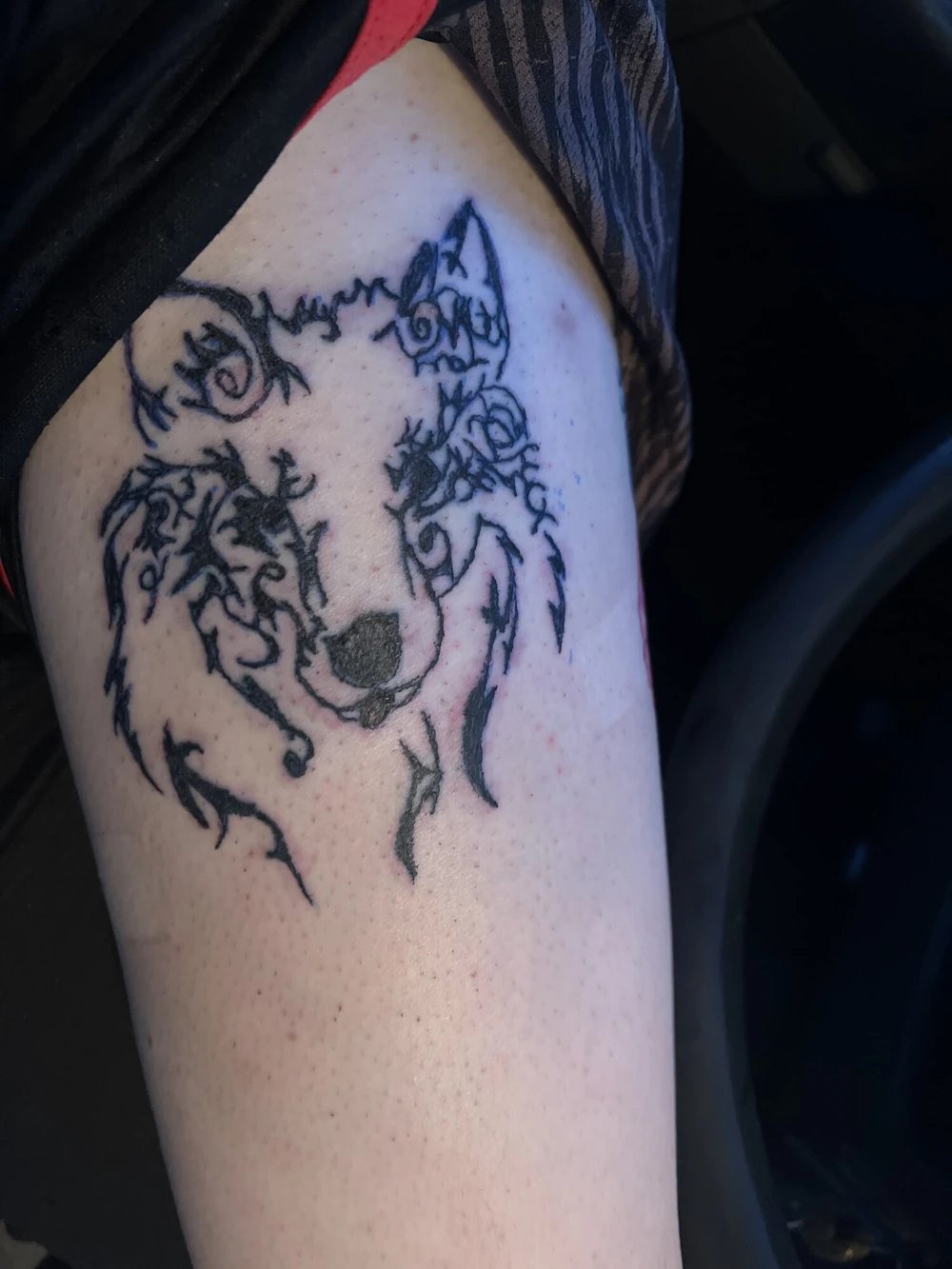 New #3