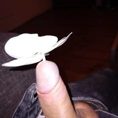 inserting