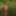 With Horns In Red Dress In Shallow River