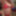 2019 random  #28
