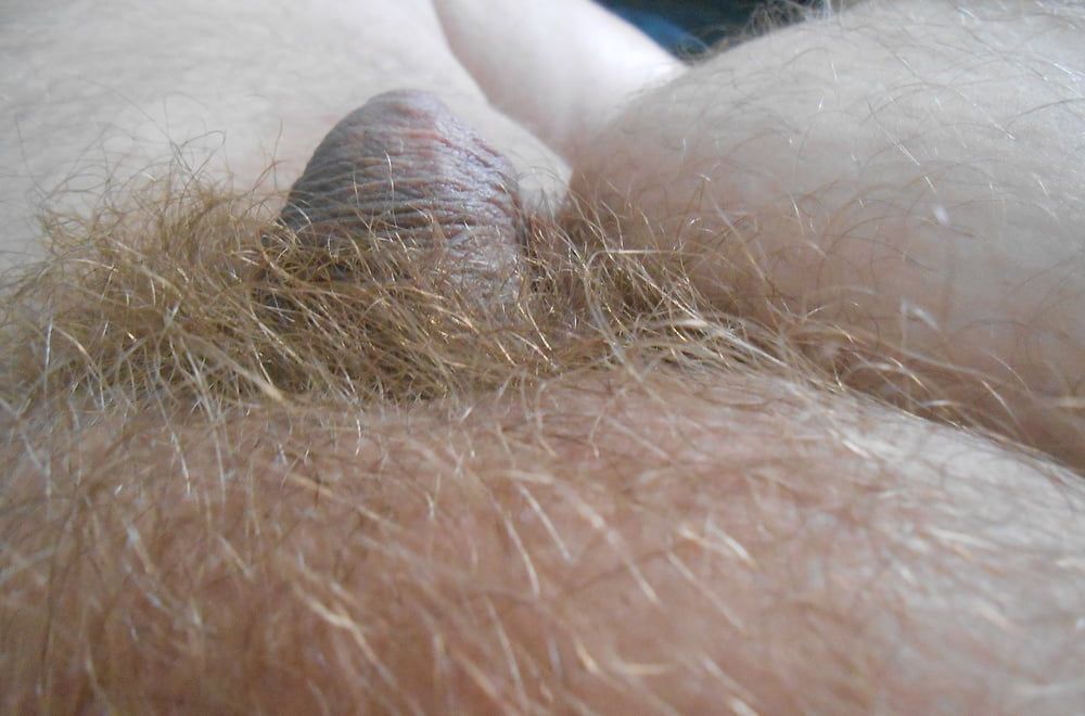 my tiny hairy dick before shaving #4