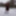 Pregnant flashing naked in the cold snow #47