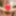 TRANSEXPOV: Amanda Riley Is Your Christmas Surprise!