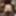 ビッチビッチ2019