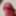 Big Dick Glans Close up