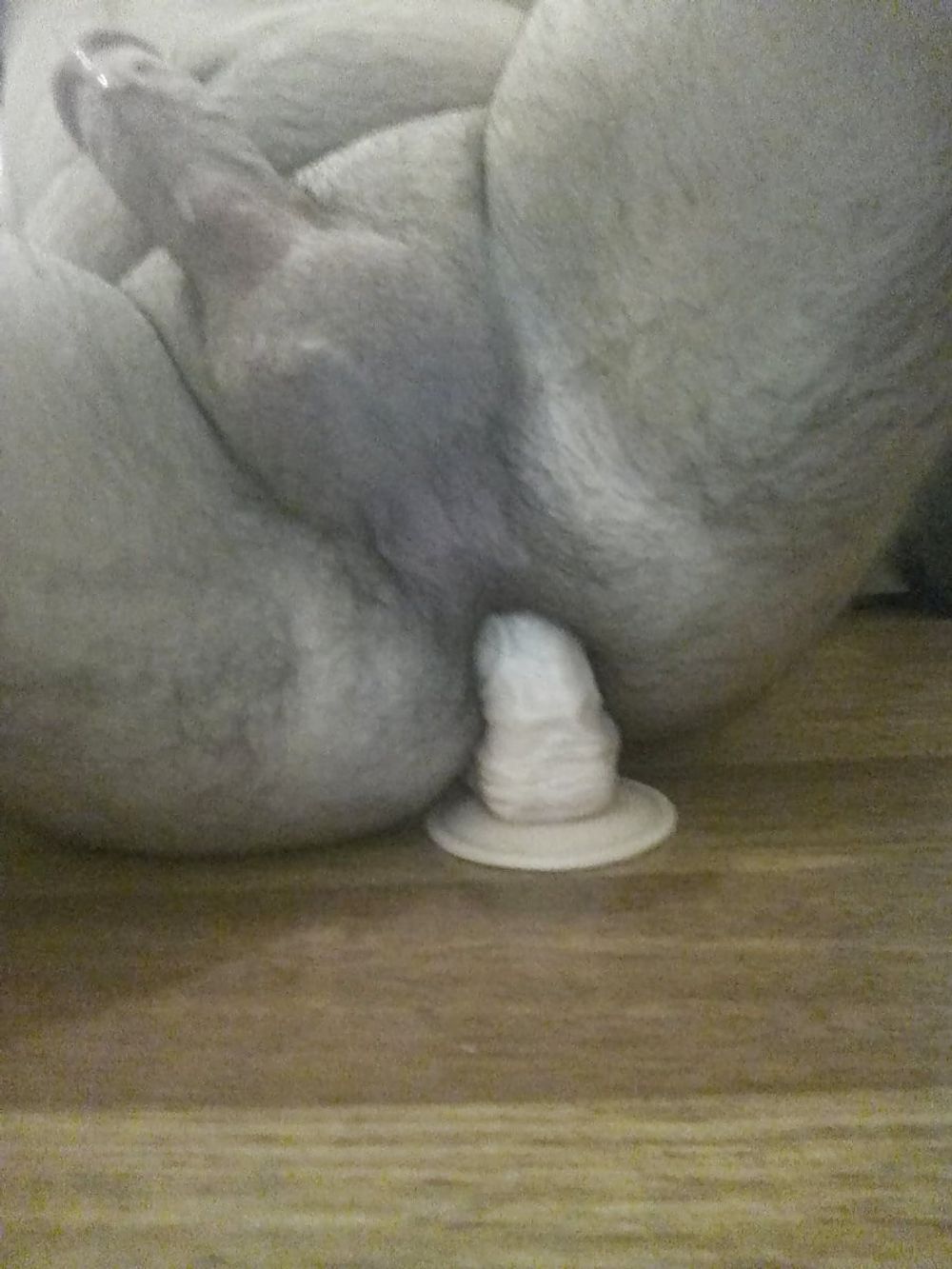 My Dildo  #4