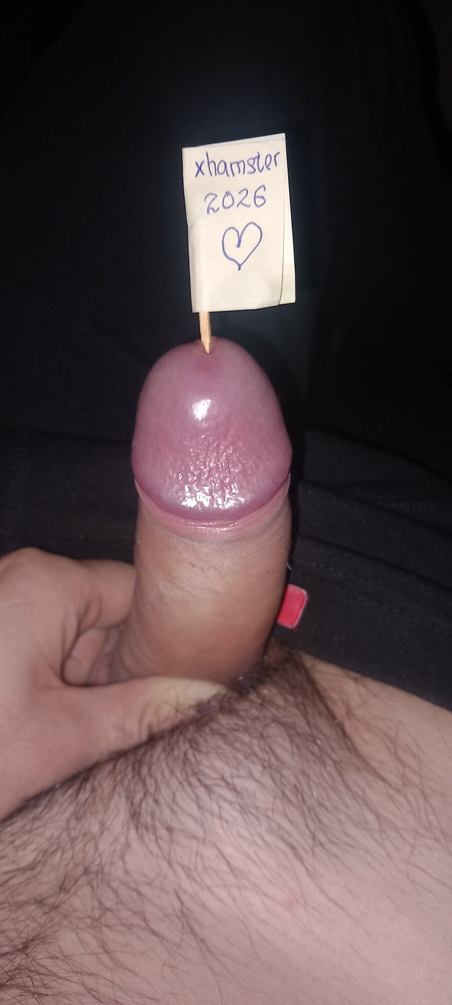 For xhamster 