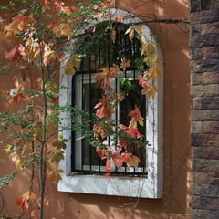 Autumn Story