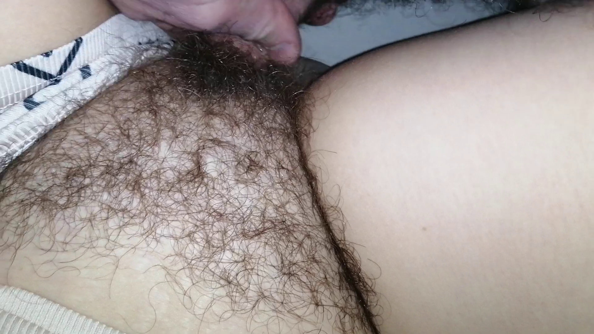 big bush #4