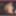 Annadevot - Live recording of the webcam session #3