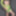 Green & Black #16
