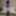 Winter 2020 Purple PVC Shorts and High Heeled Boots