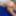 RNW0002 Amirah Adara vs Ivy Rain Nude Wrestling Live