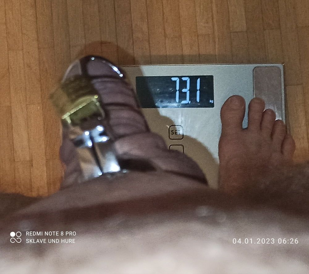 mandatory weighing and cagecheck of 04.01.2024 #12