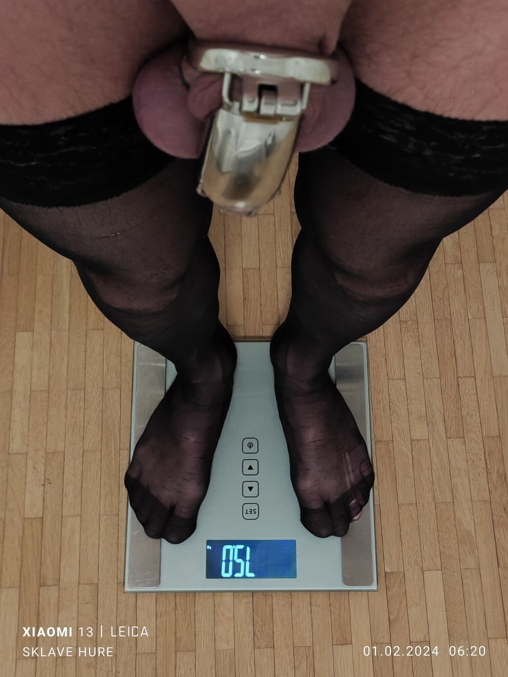 Mandatory weighing cagecheck plugcheck February 01, 2024 #2