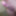 Dick handjod masturbating expose 