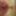Nasty Granny Tranny Screenshots