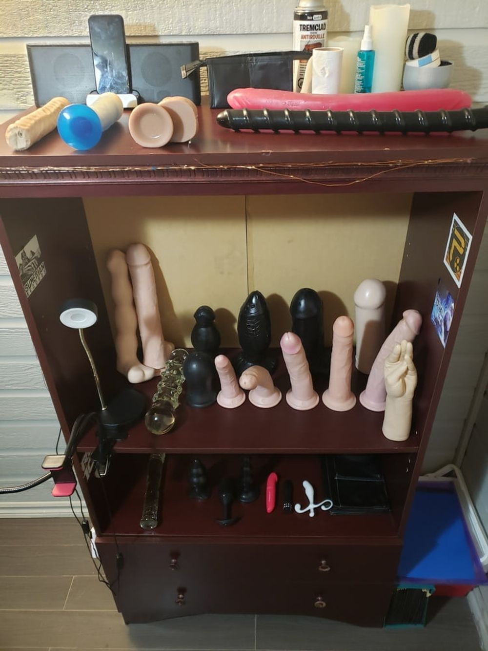 Toy Collection