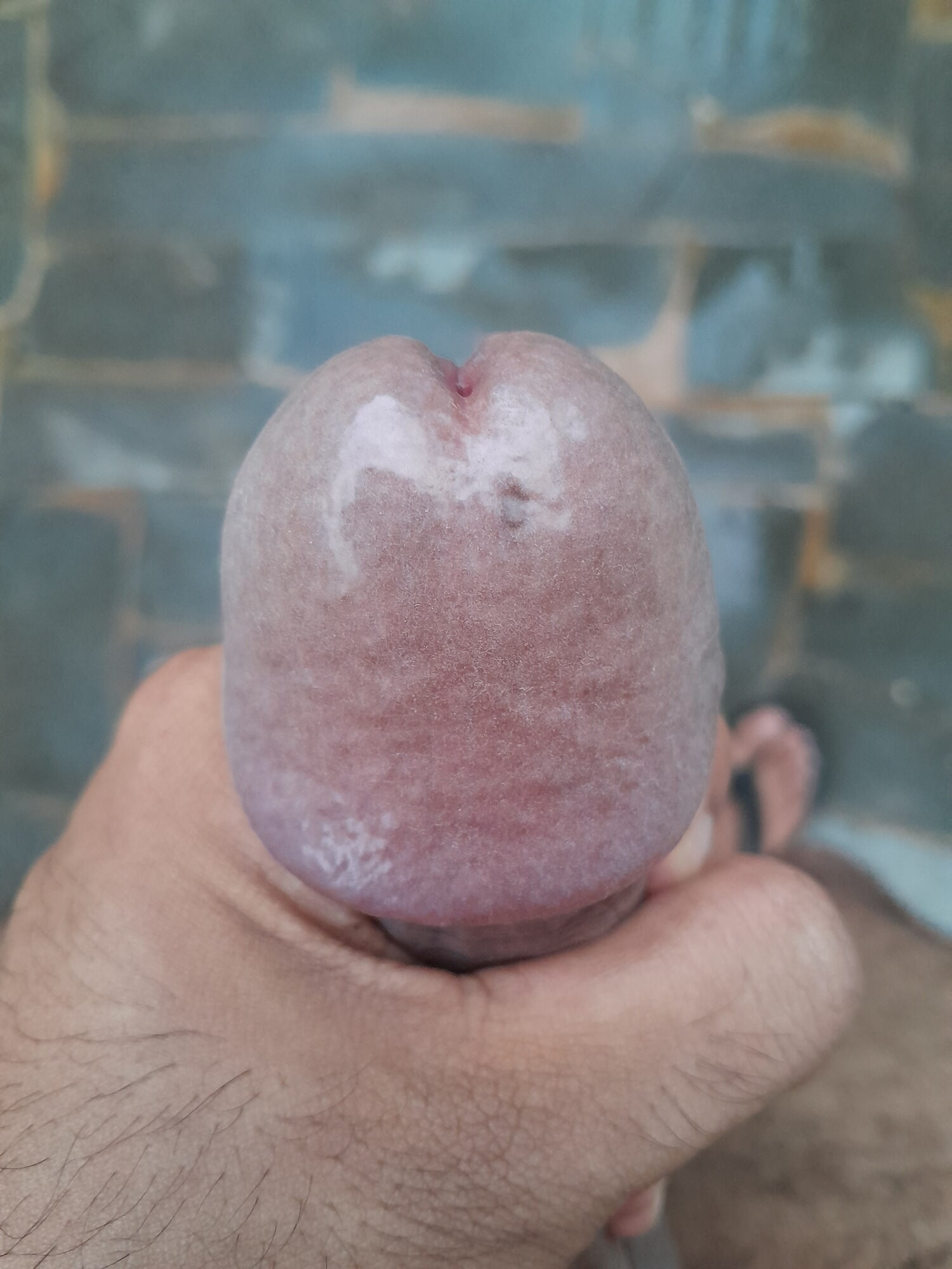 My big head cock