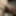 More to cum  #5
