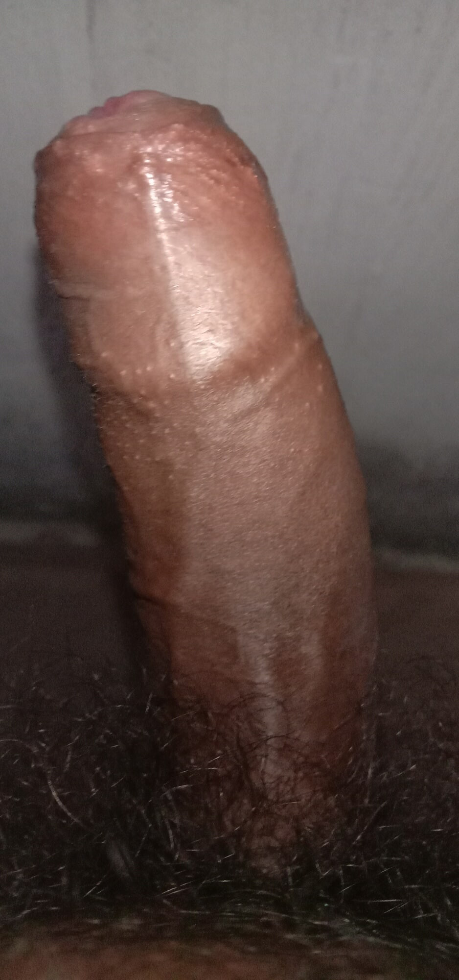 My Hairy Cock want hairy pusssy 