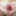 Opening my anal butthole for a deepview into my gape tunnel