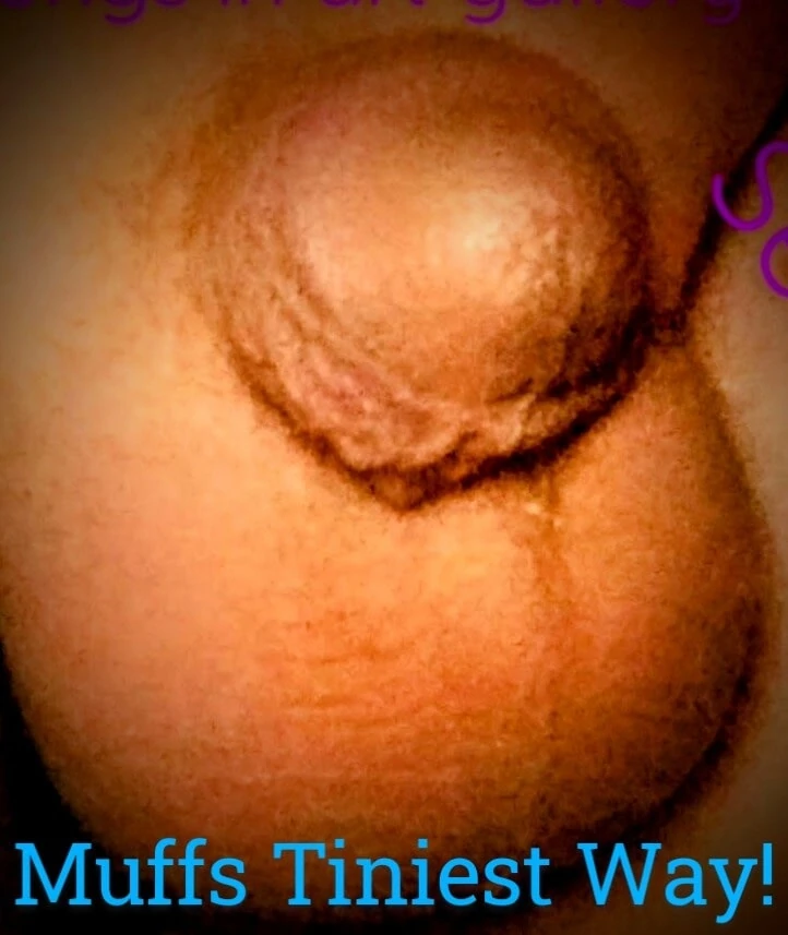 Muffs tiny little bitty cock #4