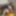 Ücretsiz Deyag Fotoğrafları