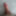 penis 18 cm 3 #23