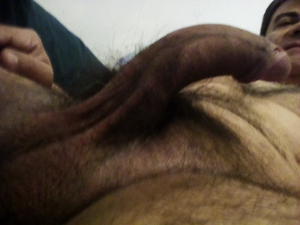 StallionXXX #8