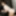  Tame Ryu Enami - CARIBBEANCOM #4