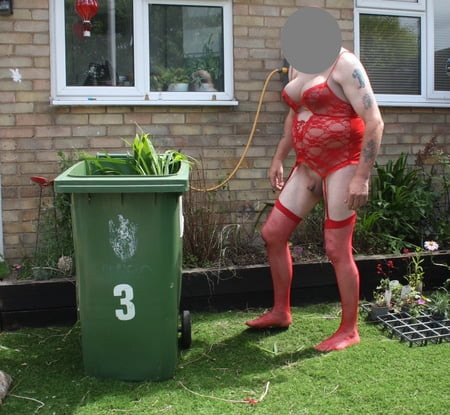 In the garden