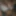 Free Queen P Photos