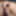 Training Progress Report and Big Reveal hehehe  #36