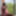 Aisha 👅 Free Photos