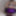 Violet Sissy Bimbo Harley Quinn Uniform Brandynette Aug 2019 #20