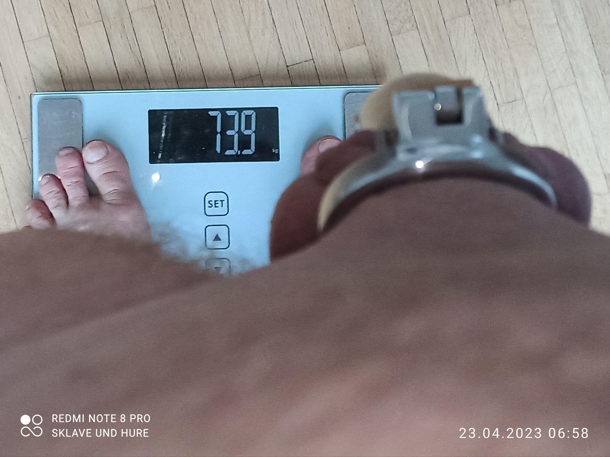 mandatory weighing and cagecheck of 23.04.2023 #5