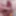 New butt porcinus various anus and cock pictures 