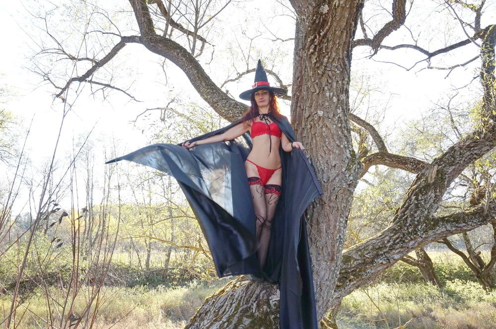 Witch on the Tree #20