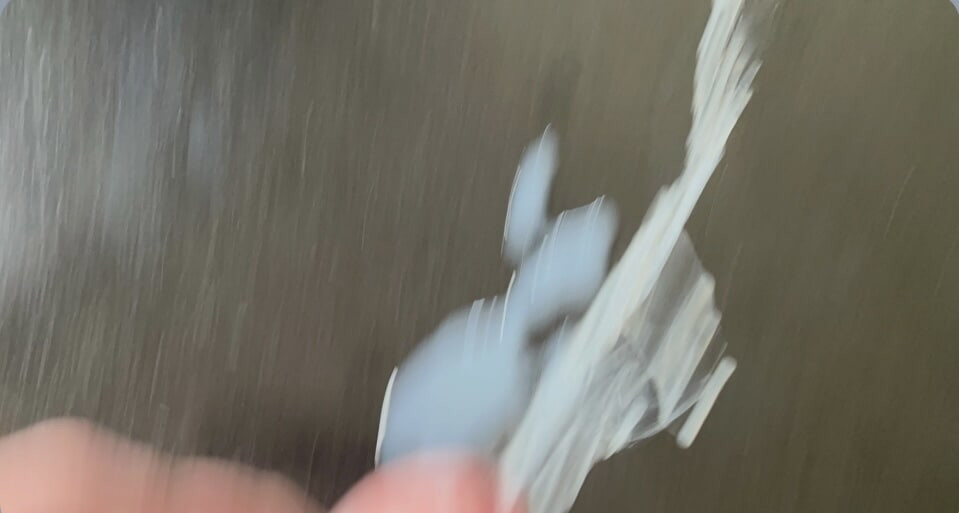 イかせて、タンパク質を食べさせて