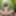 Fantasy AI Generated art of beautiful elven women