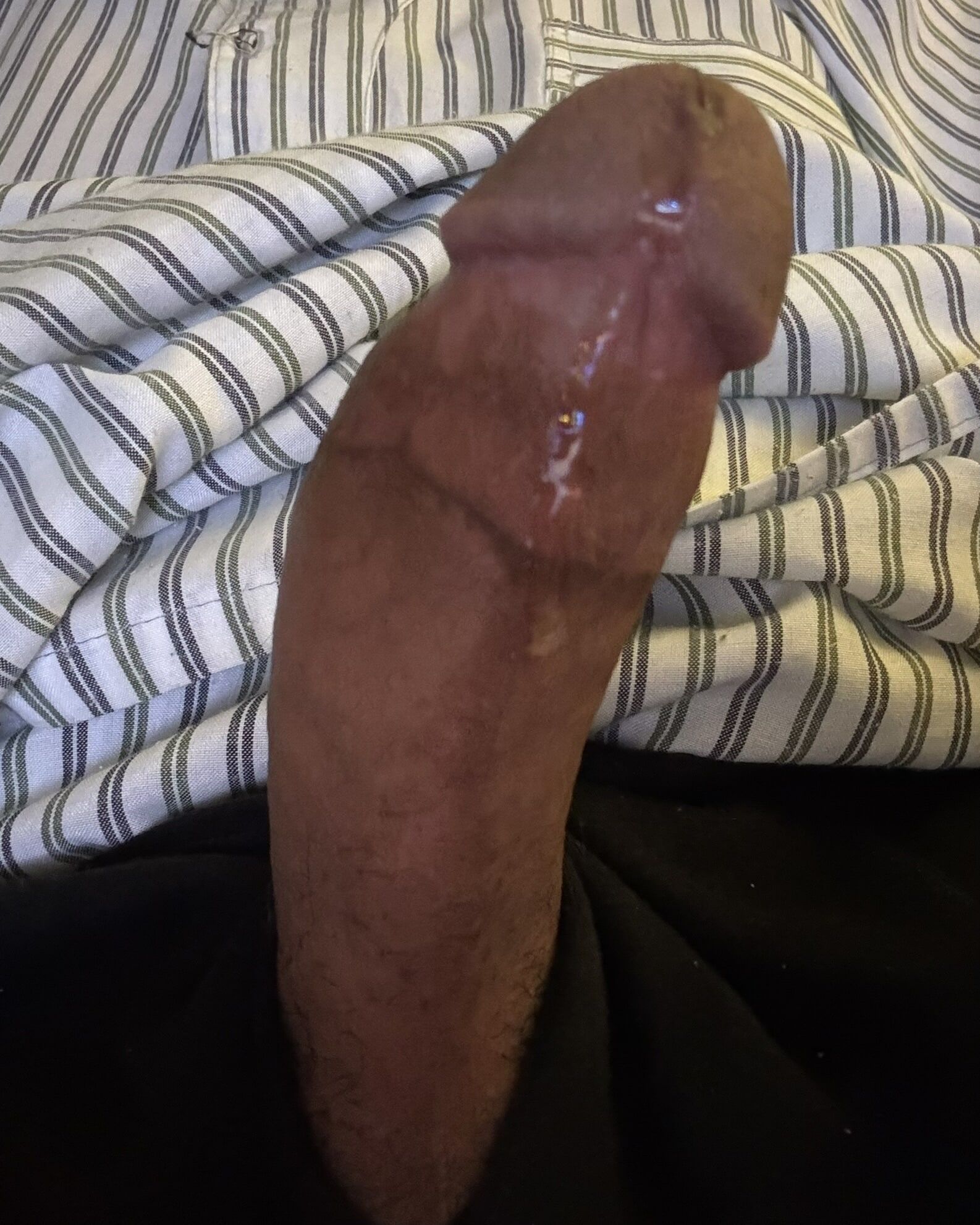 my dick with precum 